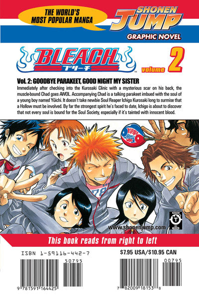 Bleach, Volume 2